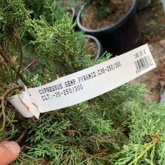 Horticulteur